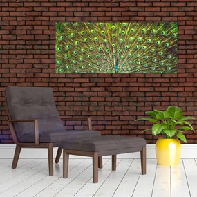 Obraz - Páv (120x50 cm)