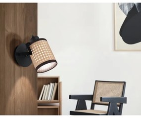 Eglo 43493 - Nástenné svietidlo RUSCOMB 1xE27/10W/230V