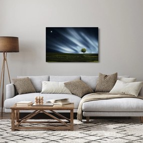 Obraz polárna žiara nad vresoviskom (90x60 cm)
