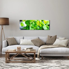 Obraz mäty (s hodinami) (90x30 cm)