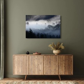 Obraz hmly nad lesom (90x60 cm)