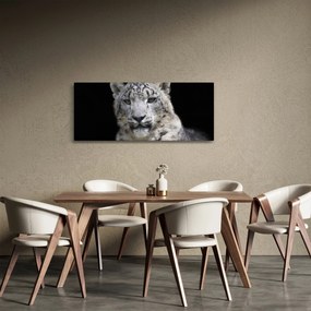 Obraz - Leopard snežný (120x50 cm)