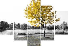 Obraz - Odpočinok v parku (150x105 cm)