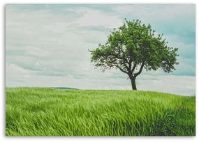 Obraz na plátně Zelený strom Krajina Příroda - 90x60 cm