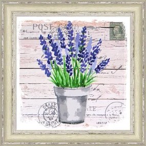 Rámovaný obraz 30x30 cm FAP505%