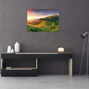Sklenený obraz - Letná krajina (70x50 cm)