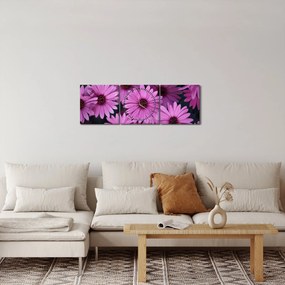Obraz ružových kvetov (s hodinami) (90x30 cm)