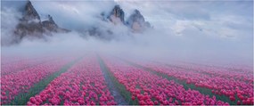 Obraz - Krajina s tulipánovými poľami (120x50 cm)