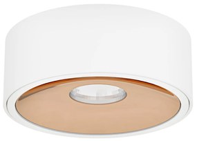 Orlicki design Moderné bodové svietidlo Neo Slim KG biela/zlatá