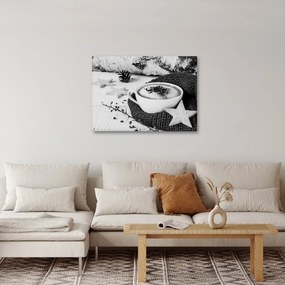Obraz - Zimné cappuccino (70x50 cm)