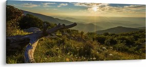 Obraz - Výhľad do okolia (120x50 cm)