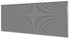 Obraz na akrylátovom skle Zebra pruhy 120x60 cm