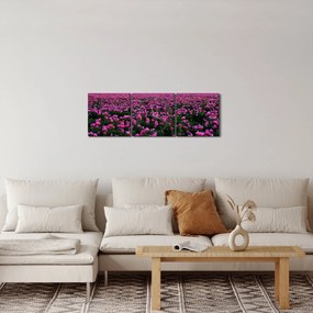 Obraz - Lúka fialových tulipánov (s hodinami) (90x30 cm)