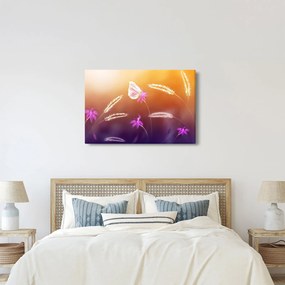 Obraz - Ružový motýľ (90x60 cm)