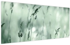 Obraz - Zelená lúka (120x50 cm)
