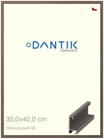 DANTIK rám na obraz 30x40 | ALU Hnědá tmavá (Plexi Čiré)