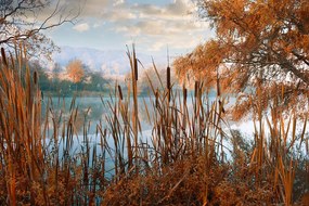 Samolepiaca fototapeta jazero uprostred jesennej prírody