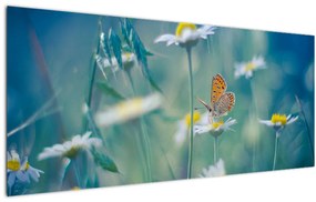 Obraz - Motýľ na sedmokráske (120x50 cm)