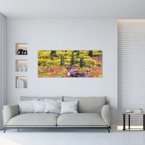 Obraz - Karibu na Aljaške (120x50 cm)