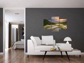 Obraz - Ryžové terasy (90x60 cm)