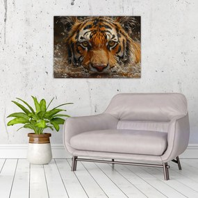 Obraz - Portrét tigra vo vode (70x50 cm)