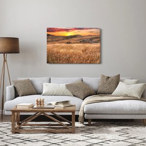 Obraz pole (90x60 cm)
