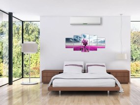 Levanduľové pole, obraz