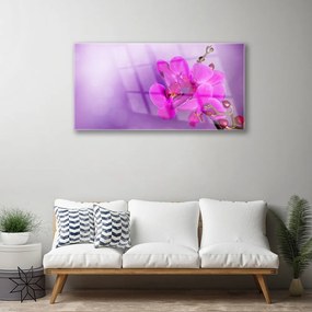 Obraz plexi Kvety plátky orchidea 100x50 cm