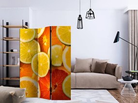 Artgeist Paraván - Citrus fruits [Room Dividers]
