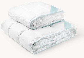 Paplón z čistého páperia Premium, celoročný