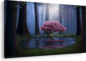 Obraz - Magická noc (90x60 cm)