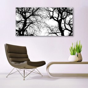 Obraz plexi Stromy príroda čiernobiely 120x60 cm