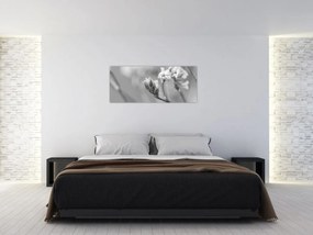 Obraz - Rozkvitnutý kvet (120x50 cm)