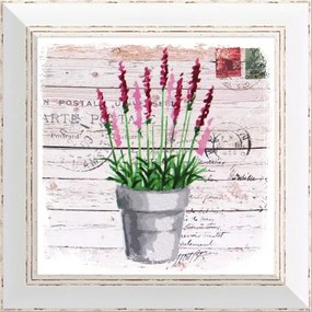 Rámovaný obraz 30x30cm FAP507