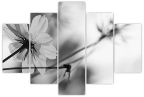 Obraz - Čiernobiele kvety (150x105 cm)