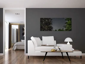 Obraz nočnej oblohy (120x50 cm)