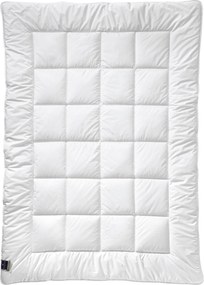 XXXLutz CELOROČNÁ PRIKRÝVKA, 135/200 cm, polyester Billerbeck - Prikrývky & vankúše - 003279011301