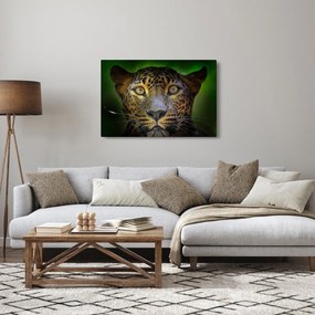Obraz - Portrét leoparda, Sri Lanka (90x60 cm)