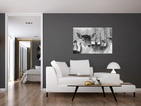 Obraz - Jelenča, čiernobiela (90x60 cm)