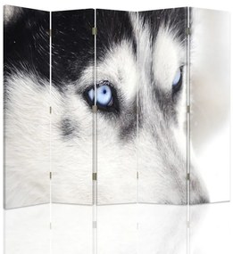 Gario Paraván Sibírsky husky Rozmery: 180 x 170 cm, Prevedenie: Klasický paraván