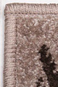 Koberec MIRA 24031/243