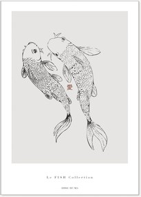 Plagát Le Fish