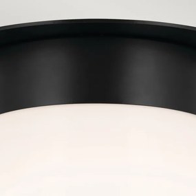 Kichler KL-ALBERS-F-T-BK-Stropné svietidlo ALBERS 1xE27/40W/230V pr.21,6cm čierna