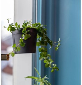 Plastové závesné a nástenné kvetináče v súprave 2 ks ø 10 cm – Esschert Design