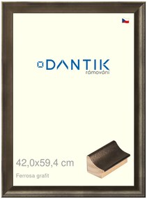 DANTIK rám na obraz 42x59,4 | Ferrosa grafit (Plexi Čiré)