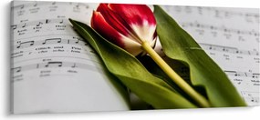 Obraz červeného tulipánu (120x50 cm)