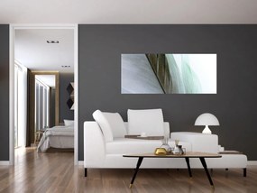 Obraz - Perie, makro (120x50 cm)
