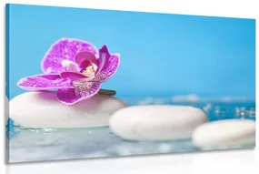 Obraz orchidea a Zen kamene