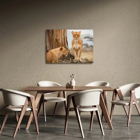 Obraz - dve levice (70x50 cm)