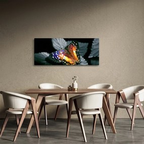 Obraz motýľa (120x50 cm)